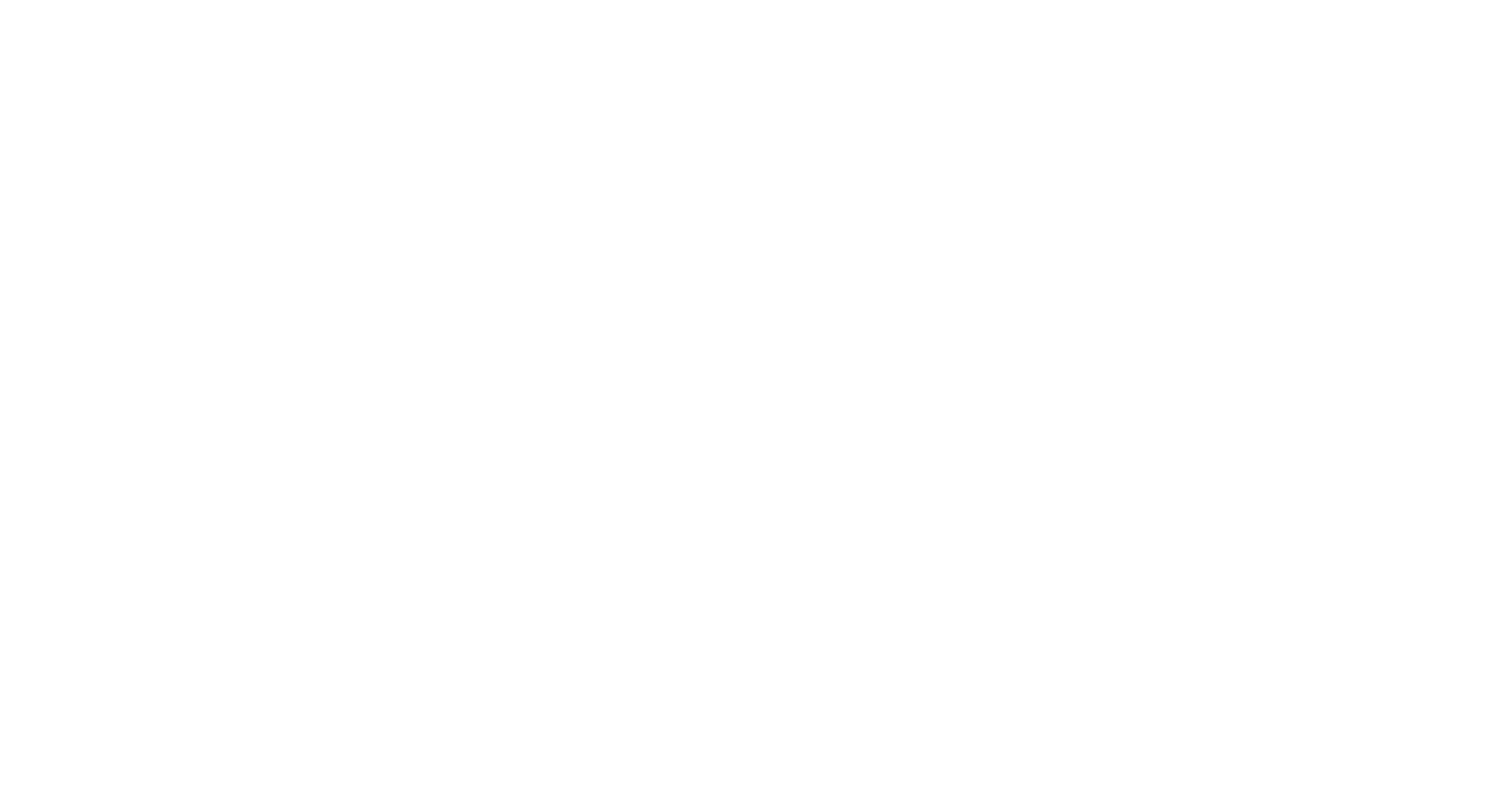 Plus PM logo